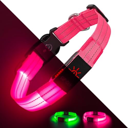 Light Up Dog Collars