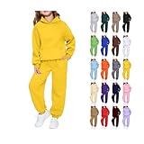 halloween outfits for toddler girls,Girls Boys 2 Piece Outfits Hoodie Kids Sweatsuit Sets Sweatshirt and Baggy Fall Fashion Sweatpant with Pockets(A-Light Blue, 9-10 Years)