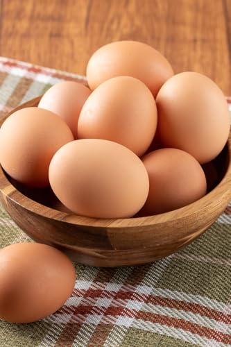 美山たまご王国 鹿児島県産 美山オリーブ卵 40個 割れ保証付 たまご 卵 [入金確認後、2ヶ月以内の発送]