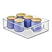 iDesign Linus Plastic Storage Bin with Handles for Kitchen, Fridge, Freezer, Pantry, and Cabinet Organization, BPA-Free, Large