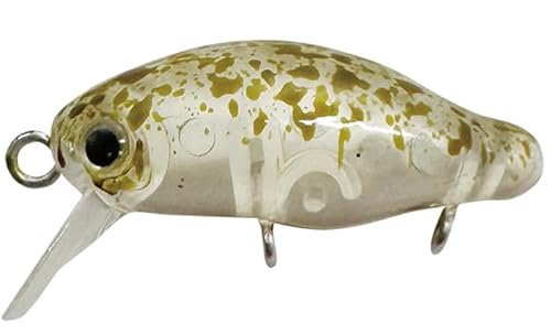 �X�~�X(SMITH LTD) CADDIS(�J�f�B�X) 25.�X�^�~�i�O���[