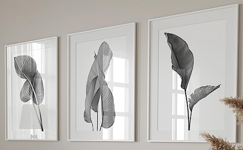 Eviepops Prints Grey Exotic Tropical Leaves Wall Art Set of 3 Unframed Prints, Botanical Plant Leaf Decor