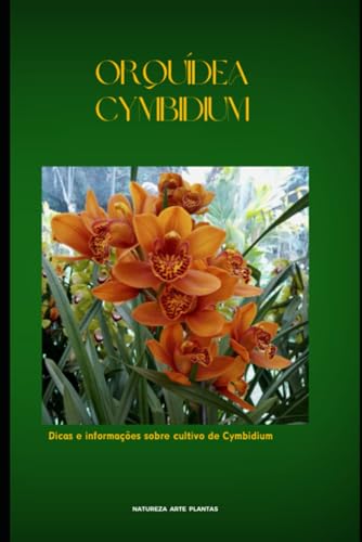 Orquídea Cymbidium