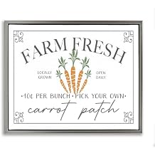 Stupell Industries Farm Fresh Carrot Patch Seasonal Springtime Vegetables, Floating Frame Canvas Art, Gray, 21 x 17