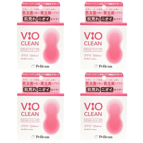 y4ZbgzyJΌ VIO CLEAM fP[g\[v 80g