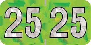 2025 Year Stickers, Doctor Stuff 2025 Chart Stickers, Holographic Lime Green Colored, USA Made Year Labels for End Tab File Folders, 500 Labels per Roll, 1 Roll, 3/4" x 1-1/2"