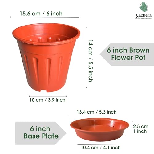 Image of 6 inch Plant Pot with Base Plate (Set of 4 Pot + 4 Base Plate) | Indoor Flower Pot with Saucer | Premium Flower Pots for Plants