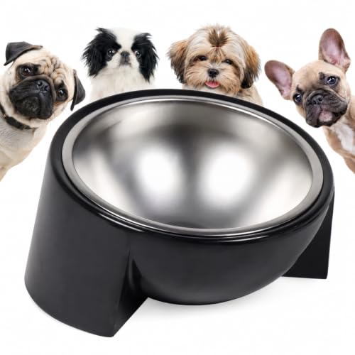 Tilted Bowl for Flat-Faced Dogs