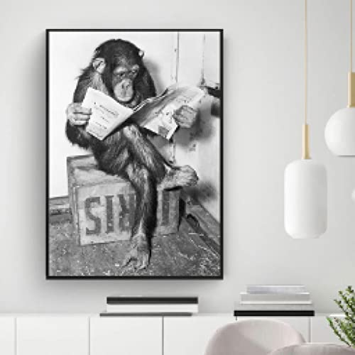 Chimpanzé Lecture Journal Art Impression sur Toile 60x90cm - 2