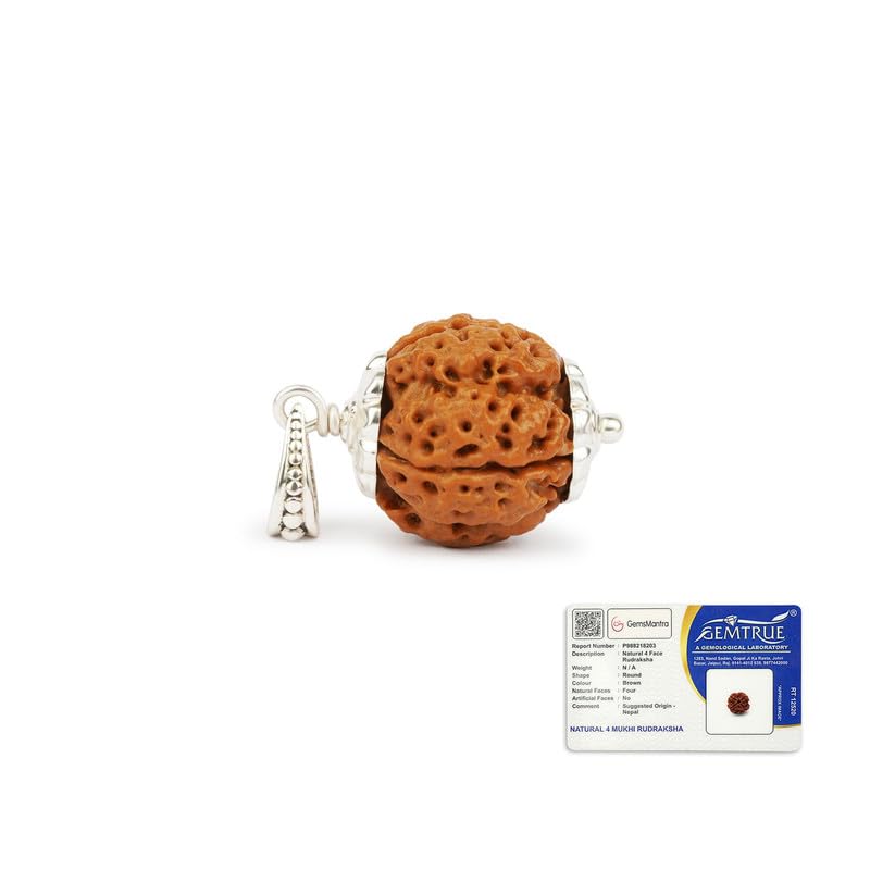 GEMSMANTRA 4 Mukhi Rudraksha with Silver Pendant| Original Nepali...