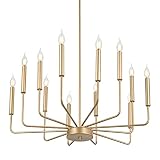 WOKNOS Modern Gold Farmhouse Chandeliers, 12-Light Industrial Metal Chandelier Lighting, Classic Can