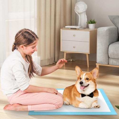 Otauoaea Hundetrainingspads 100 Stück, 33x45cm Einweg PIPI-Matten für Welpen & Kleine Hunde, 5-lagige Auslaufsichere & Schnell Trocknende Unterlage für Welpentraining, Käfig, Auto und Zuhause