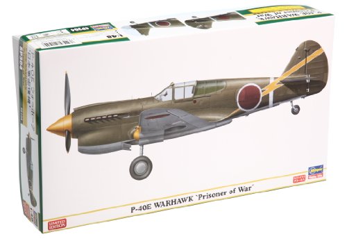 Kit P-40E Warhawk Prisoner of War maquette plastique idée cadeau historique pour passionné d'aviation