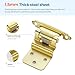 JOYDECOR 60 Pack 30 Pairs 3/8 Inch Overlay Gold Cabinet Hinges Semi-Concealed Face Mount Hinges for Cupboards Self-Closing Decorative Door Hardware