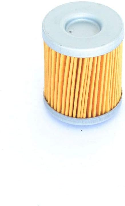 Athena (FFC005) Oil Filter