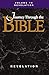 Journey Through the Bible; Volume 16 Revelation (Student)