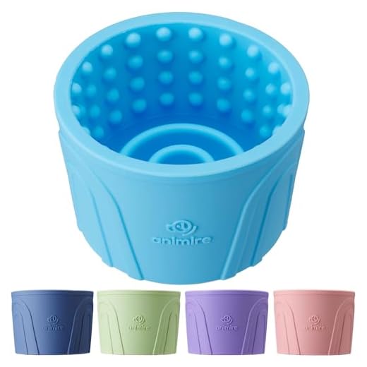 Dog Slow Feeder Lick Bowl