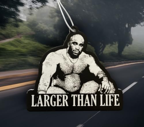 Barry wood car air freshener | scented | viral meme gift | stocking filler | secret Santa | joke present