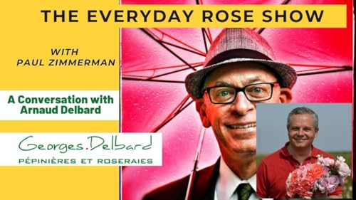 A Conversation with Arnaud Delbard