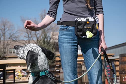 Ollydog Backcountry Day Bag, Fanny Pack, Dog Treat Pouch, Hands-Free For Training, Hip Pack With Built-In Poop Bag Dispenser, Removable Waist Belt Clip, Travel Dog Treat Container (Champagne) #TOP6