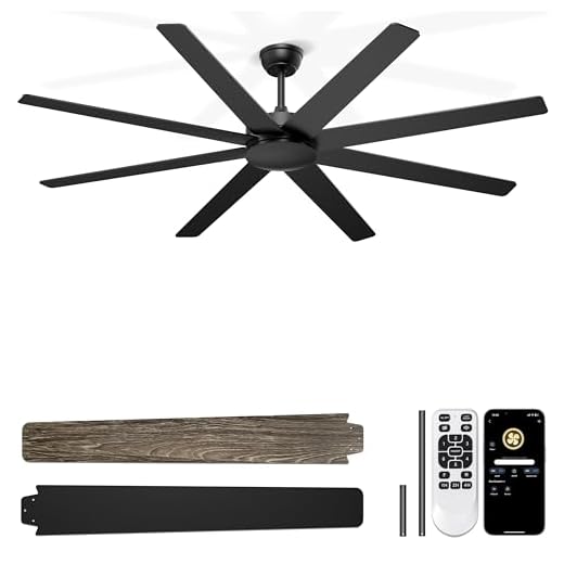 Phylluz 72'' Black Large Ceiling Fan No Lights for Garage Shop