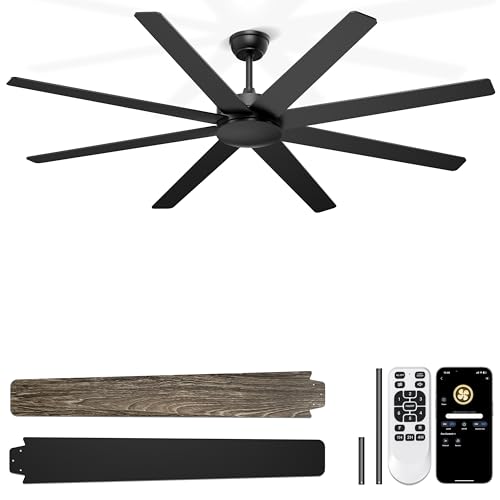 Phylluz 72'' Large Ceiling Fans No Lights, Modern Black Ceiling Fan...