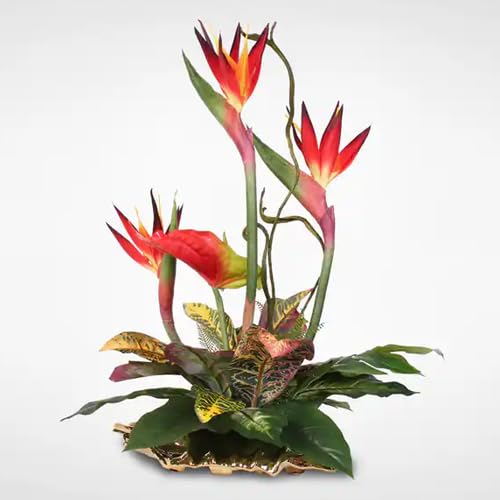 Lovely Arrangement of Birds of Paradise and Anthuriums For Anniversary Gift, Birthday Gift, Wedding Gift, Congratulations Gift, Mother's Day Gift (Same Day Delivery)-image-44