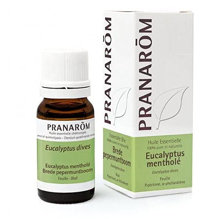 Huile Essentielle Eucalyptus Mentholé | 10 ml | Pranarôm