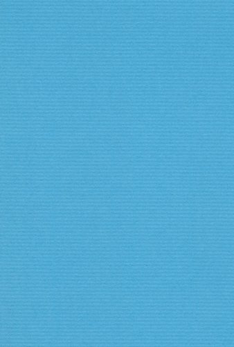 エスケント 色画用紙 ミューズコットン 厚口 A4 そら 10枚 41110014