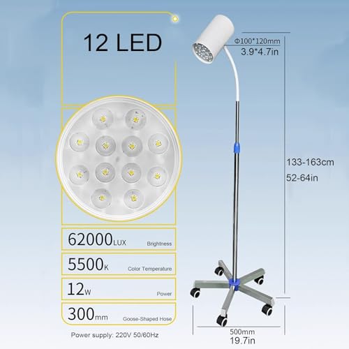 Lampe chirurgicale LED mobile 12W pour examens médicaux