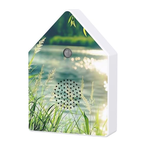 センサー 小鳥」の人気商品一覧 | 安い商品を通販サイトから探す