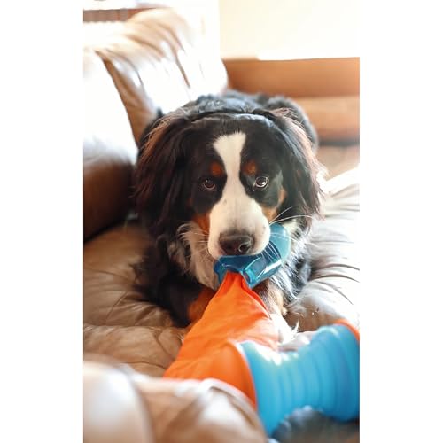 Juguete Interactivo para Perros Guru Bonanza Rocket Mediano miniatura 2