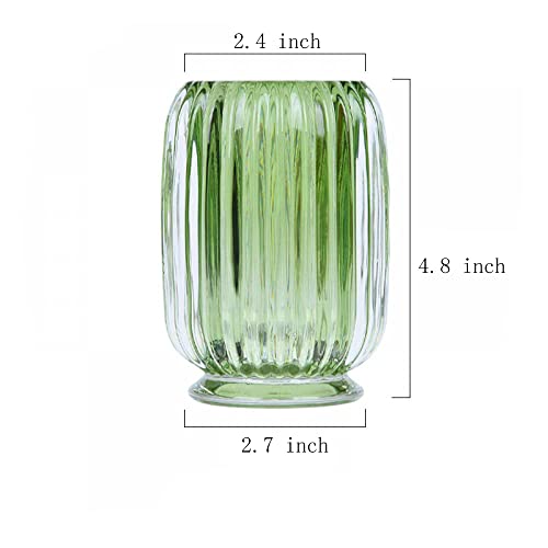 Gaolinci Clear Tumbler Cup Makeup Brush Toothbrush Holder For Bathroom, Vanity, Countertop, Desk And Bedside Table #TOP1