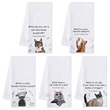 R.HORSE 5-Pack Cat Puns
