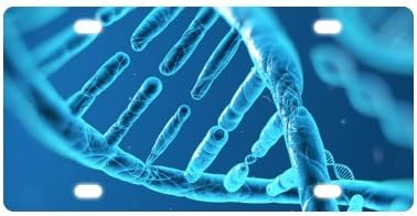 DNA License Plate with-12" X 6" inches