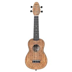 Ortega Guitars Ukulélé Soprano acoustique – modèle gaucher – Keiki K3 – Kit de démarrage incluant Accordeur, Courroie, 5… - Les Beatles, Paul McCartney, John Lennon, RIngo Starr, George Harrison Ortega Guitars Ukulélé Soprano acoustique - modèle gaucher - Keiki K3 - Kit de démarrage incluant Accordeur, Courroie, 5… – Image 6