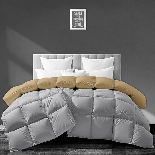 Image of Luxurious 500 GSM Winter Comforter Double Bed Size (90 inchX100 inch) - Premium Collection Heavy Winter Comforter 500 GSM Microfiber Fill - Duvet /Blanket Double Bed - Beige /Silver Grey Color
