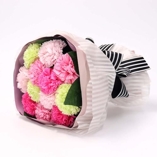 [~bV LbV] oXtOX Ԃ̌`̓ t[ \[v  [Y J[l[V ̓ j v[g Mtg  4540-117(J[l[VsNMIX)