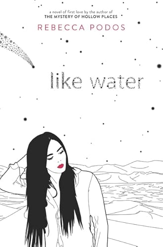 Like Water: A Lambda Literary Award-Winning LGBTQ YA Novel of First Love and Family Duty