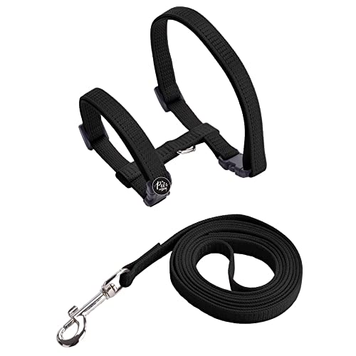 Image of The Pets Company Cat Harness Leash Set for Cats & Kittens, 45 Inches Black