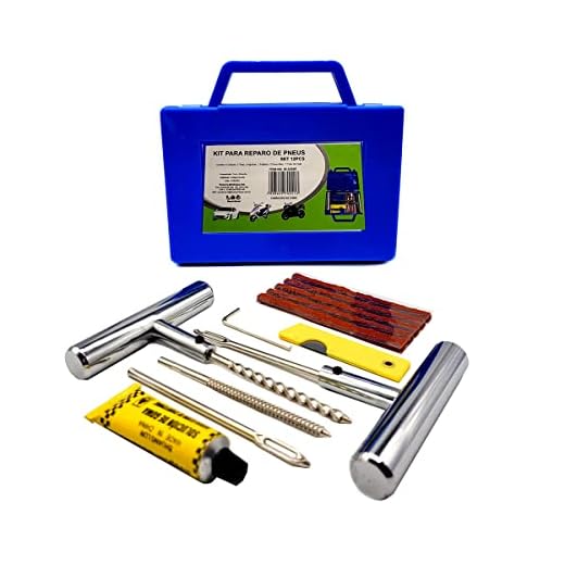Kit Reparo Pneu Moto Carro Jogo para Conserto Remendo Frio de Pneus sem Câmara Macarrão Maleta 12 peças Profissional