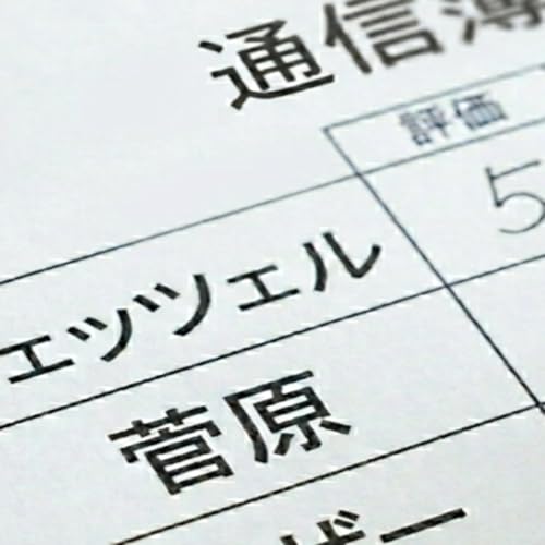 【ハピネッツの通信簿②】新加入組を採点　ハピネッツ・トークby秋田ブースター　第27話　#秋田ノーザンハピネッツ　#Bリーグ