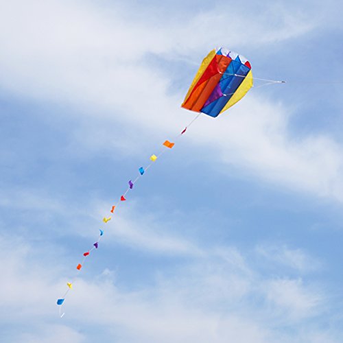 Besra Colorful Parafoil Kite With Long Tail Easy To Fly Outdoor Fun Sports For Kids & Adults(20Inch) #TOP4
