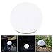 Frostfire Whiteglow - Solar Pond and Pool Light