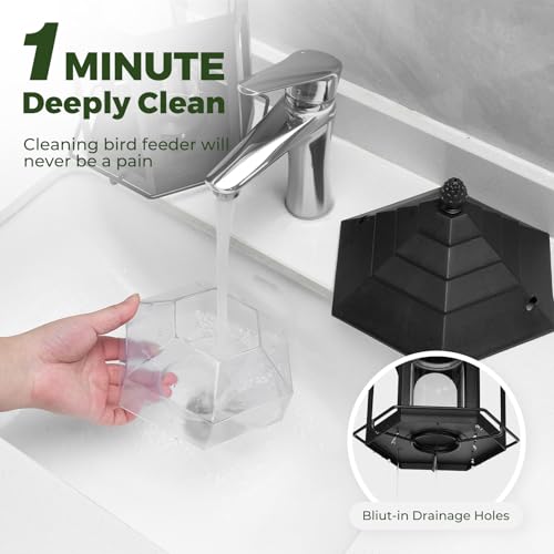 https://m.media-amazon.com/images/I/41eT2Kgle4L.jpg