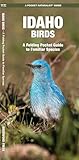 Idaho Birds: A Folding Pocket Guide to Familiar Species (A Pocket Naturalist Guide)