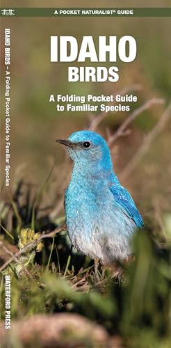 Idaho Birds (Nature Observation North America)