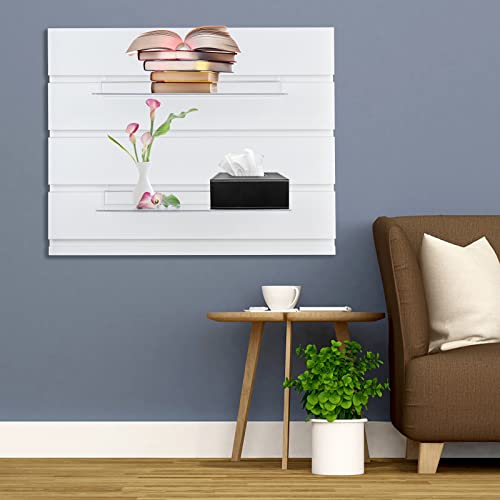 Vaipi 14 Pack Acrylic Slatwall Shelves Clear Slat Wall Accessories Plastic Floating Shelves For Wall Hanging Transparent Display Shelf Home Bathroom Shoe Stores Boutiques Supplies #TOP1