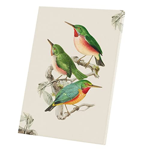 Affiche Poster Todier Oiseaux décoration murale rétro en toile 40x56 cm