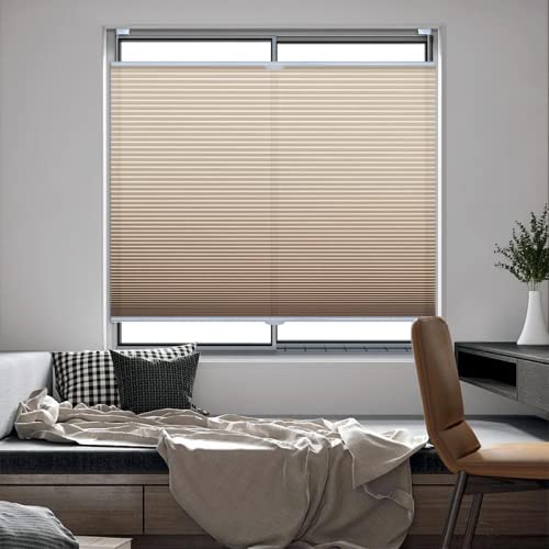 Buy Top Down Bottom Up Shades, Light Filtering Shades, Blinds